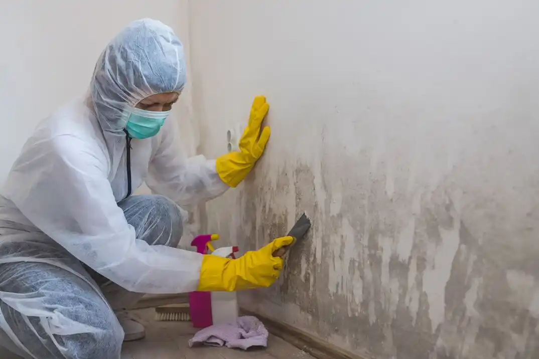 water damage restoration service Laurel Park